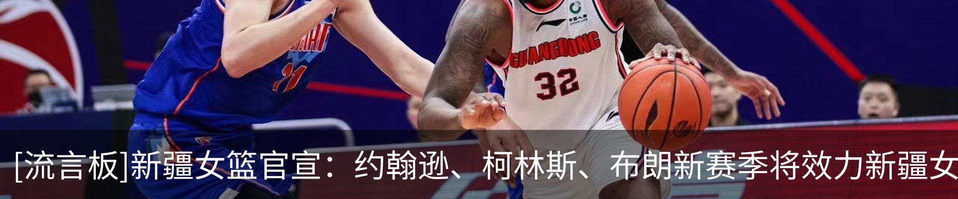 新闻动态
